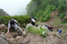 一般登山道並みにきっちりした道があります