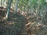 黒戸尾根登山道の状況