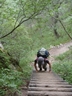 登山道にかかるハシゴ